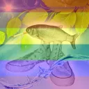 ⋮ ♯;  ⤷ ᵀᵉᶜʰᴿᵃᵛᵉ .ᐟ🌐 🐠