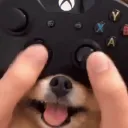 Mental Health Gaming Hub
