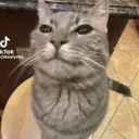 The Blurrver