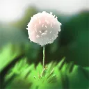 Dandelion Developers