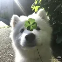 ׁ ֪ ྀི◟‿ ◟ ྀ͜ /clover ♡ ⱼ₂ₗ ⁼ ᵇᵃⁿ