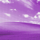 The OS