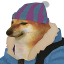 Sleepy's server