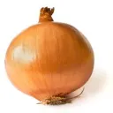 Universally Onion