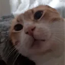 Truva Oyuncu Topluluğu