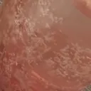 レグゥの進捗状況を監視できる鯖