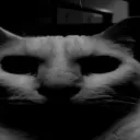 Servidor de theus_resident