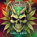 Okie's Lounge