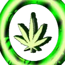 Культ конопли