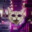 Shreebcord