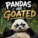 pandas are goated