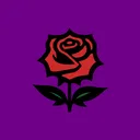 SDP