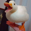 funpost sillymaxxing Discord server icon