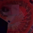 Kony Empire