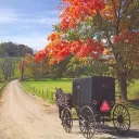 amish town