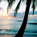 Gamer Discord server icon