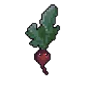 The Radish Room!