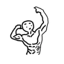 Anabolic Advice