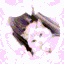 ݂ sω༷eet ݁ ݂ ρα༷ω ݁ 🐾