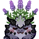 Purple dragon's den!