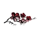 우리 장르 17만원