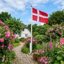 Den Danske vennegruppe ikon