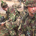 Democracy for Gold | +18 RP Server Discord server icon