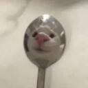 The Best Server Discord Server Icon