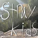 Stray Kids (AUDITIONS)