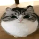 (〃＞＿＜;〃)