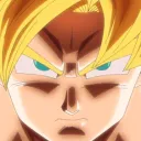 THE SAIYAN COMMUNITY