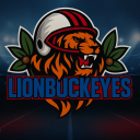 Lionbuckeyes's server