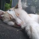 calm's lounge Discord Server