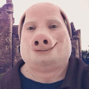 sigma gang 🐺🎀 Discord server icon