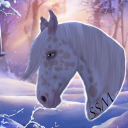 Star Stable Manor