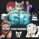 Study Buddies