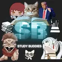 Study Buddies