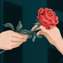 🌹VRCB🌹