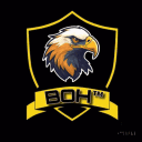 BAND OF HAWKS