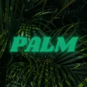 𝐏𝐚𝐥𝐦 𝐏𝐢𝐜𝐤𝐬