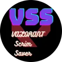VSS　(VALORANT Scrim Server)