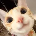 woob