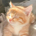 Discovery icon for ₍ˆ. .ˆ₎⟆ Catcore! social . giveaways . emotes . guilds Discord server