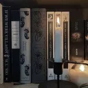 ⋆ ˚⋆୨୧˚ the haunted library