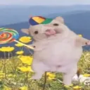 🐶𝓟𝓲𝓫𝓫𝓵𝓮 𝓒𝓾𝓵𝓽🐶