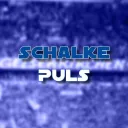 Schalke Puls