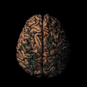 🩸 | 𝙻𝙾𝚂𝚃 𝙰𝚁𝙴 𝙼𝙸𝙽𝙳𝚂 (16+) Discord server icon