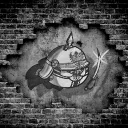 Temp & Scout's Ballsdex Server