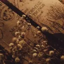 ´𝜗𝜚 —  𝙻'𝙰𝚐𝚎 𝚍'𝙾𝚛     [RP Maraudeurs]