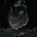 Katzenwald :) Discord Server Icon